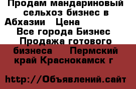 Продам мандариновый сельхоз-бизнес в Абхазии › Цена ­ 1 000 000 - Все города Бизнес » Продажа готового бизнеса   . Пермский край,Краснокамск г.